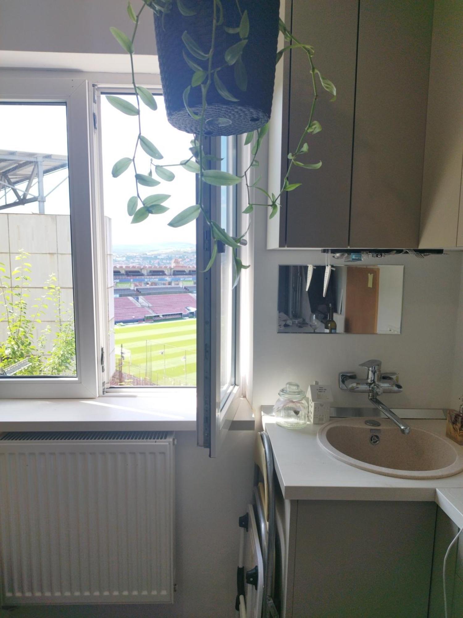 Central Nook With Stadium Vista كلوج-نابوكا المظهر الخارجي الصورة